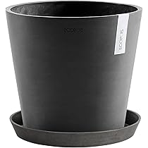 61+-jbcJizL._AC_UL210_SR210,